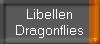 Libellen
Dragonflies