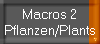 Macros 2
Pflanzen/Plants