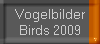 Vogelbilder
Birds 2009-