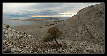 Striznja, Kornat