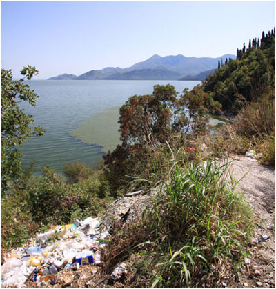 Skutarisee mit Müll / Lake Skarad with rubbish