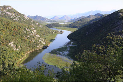 Fluss Crnojevic bei Skutarisee / River Crojevic near Lake Skadar