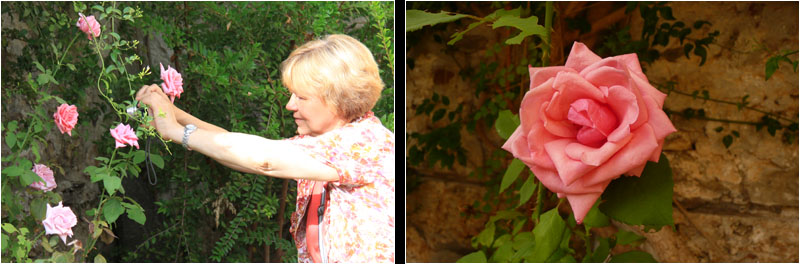 Elli fotografiert eine Rose neben dem Eingang / Elli photographs a rose near the entrance