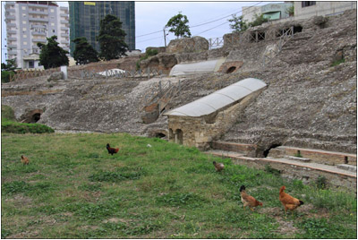Hühner, Amphitheater, Durrës / Hens, Amphitheatre, Durres