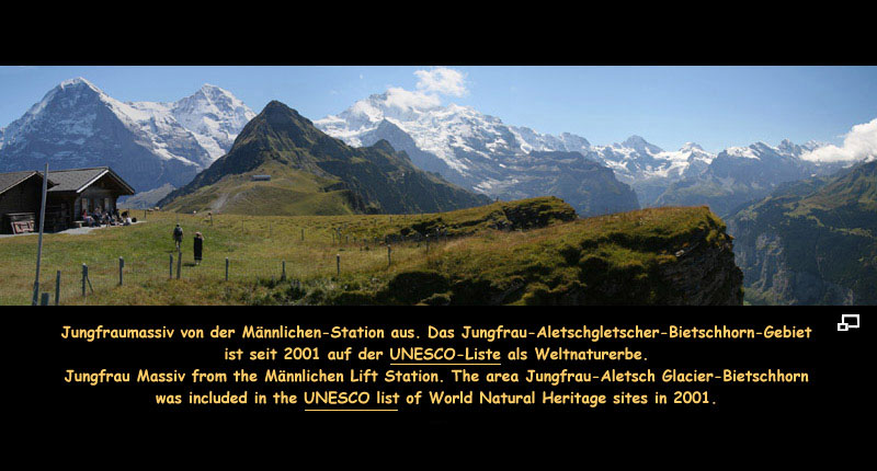 Anklicken zum Vergrößern / Click for larger picture. Jungfraumassiv 8.2006