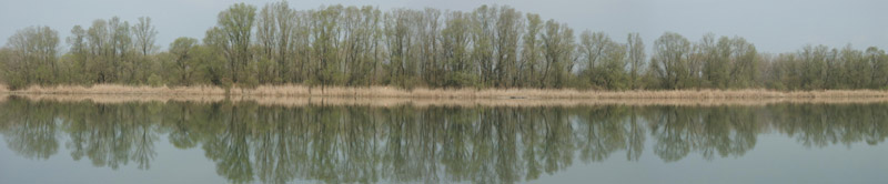 Anklicken zum Vergrern / Click to enlarge