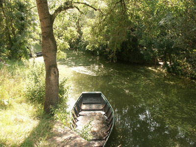 Flooded boat in Green Venice