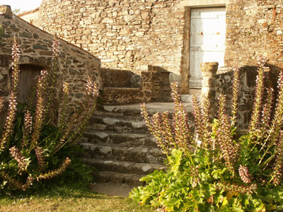 Vauvant