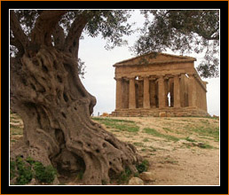 Agrigento, Concordia Tempel/Temple