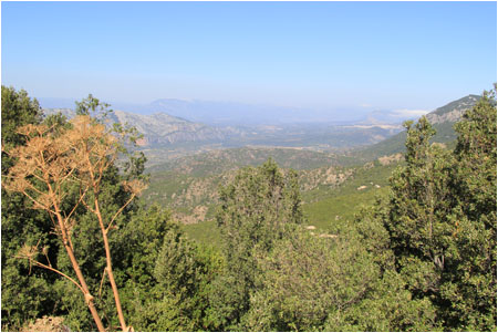 Anklicken zum Vergrern / Click for larger picture.