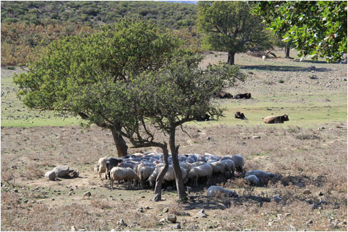 Anklicken zum Vergrern / Click for larger picture.