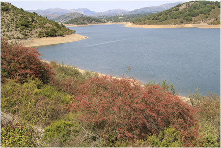 Anklicken zum Vergrern / Click for larger picture.