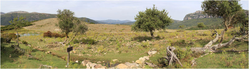 Anklicken zum Vergrern / Click for larger picture.