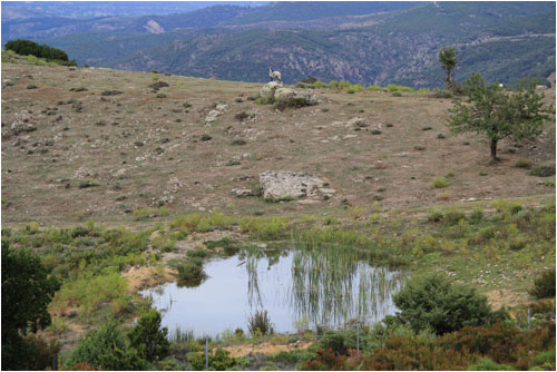 Anklicken zum Vergrern / Click for larger picture.