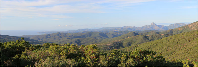 Anklicken zum Vergrern / Click for larger picture.