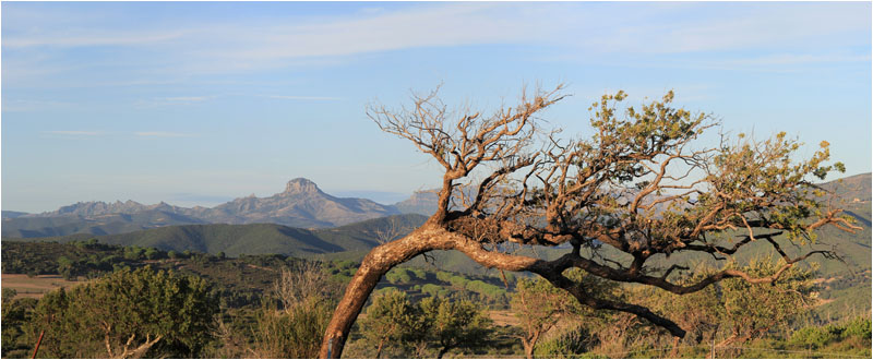 Anklicken zum Vergrern / Click for larger picture.