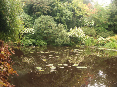 Water garden Inverewe Gardens Wester Ross  22.9.2004
