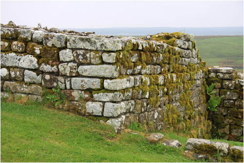 Teil der Mauer / Part of the wall, Housesteads